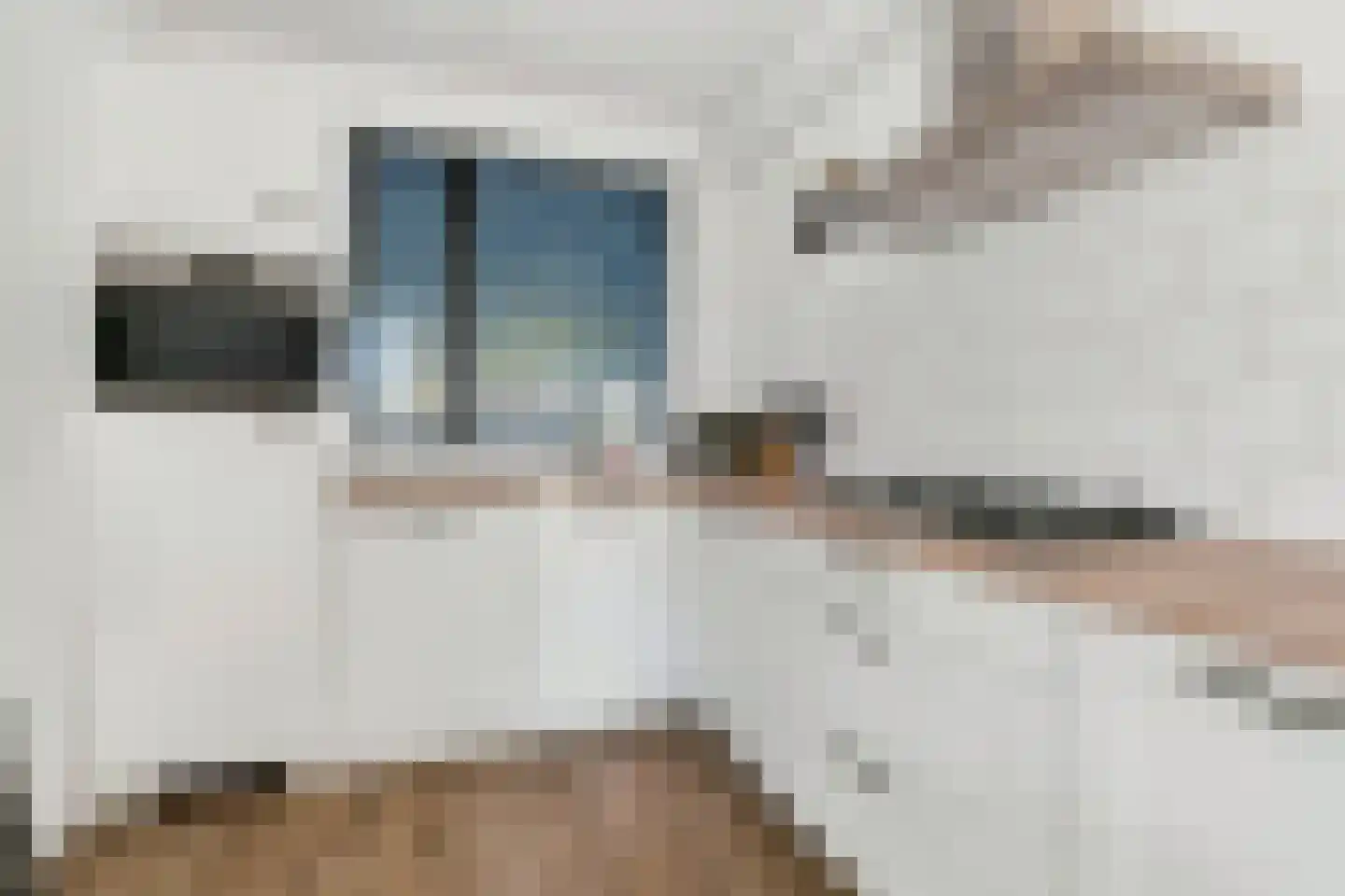 Kloosterstraat 89 Berkel-Enschot thumbnail 17
