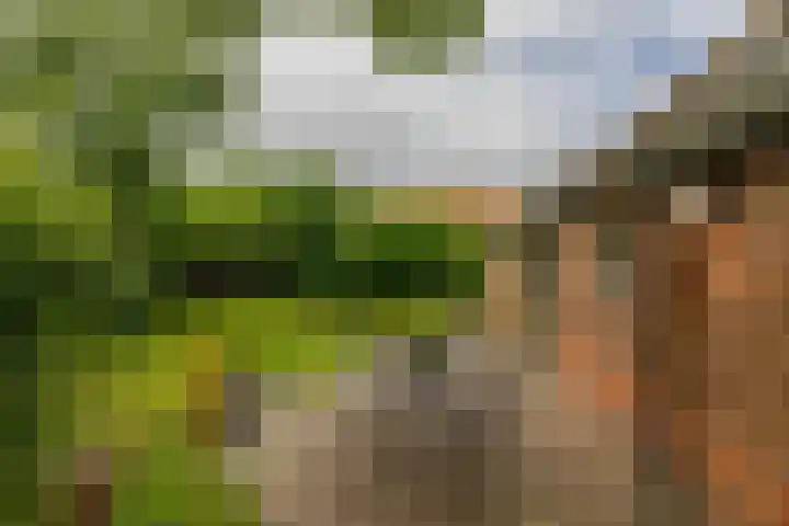 Kloosterstraat 9 Eext thumbnail 11