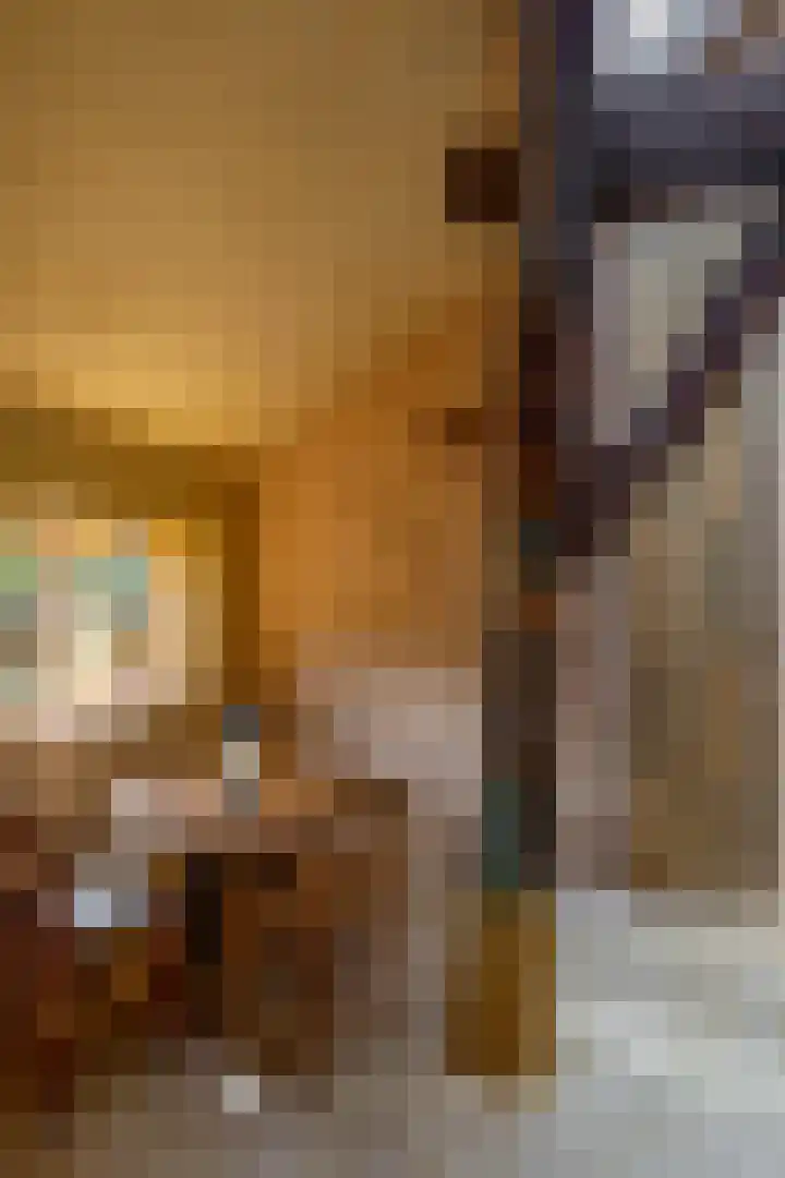 Kloosterstraat 9 Eext thumbnail 15