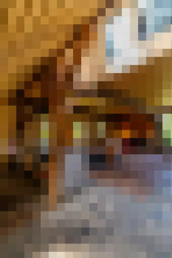 Kloosterstraat 9 Eext thumbnail 19