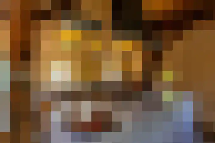 Kloosterstraat 9 Eext thumbnail 24