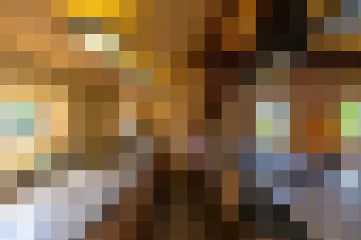 Kloosterstraat 9 Eext thumbnail 25
