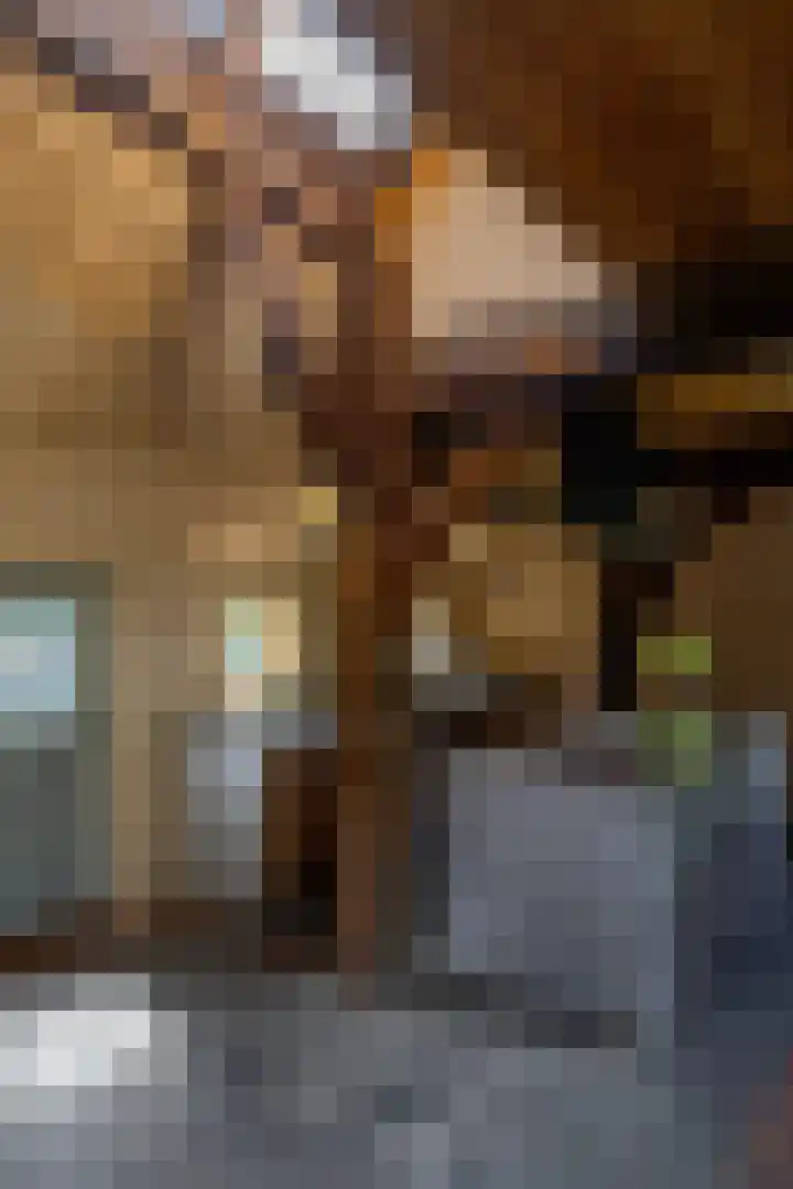 Kloosterstraat 9 Eext thumbnail 26