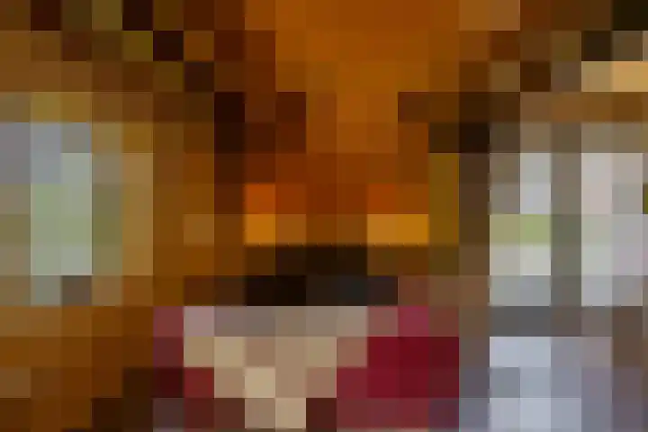 Kloosterstraat 9 Eext thumbnail 28