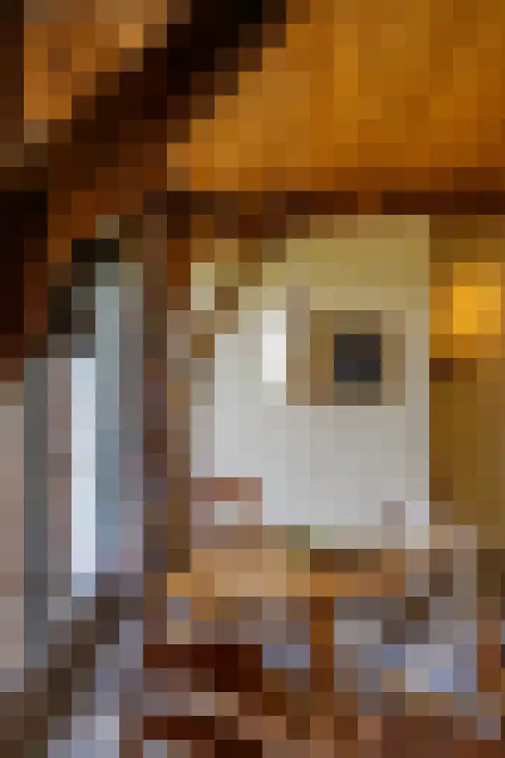 Kloosterstraat 9 Eext thumbnail 29