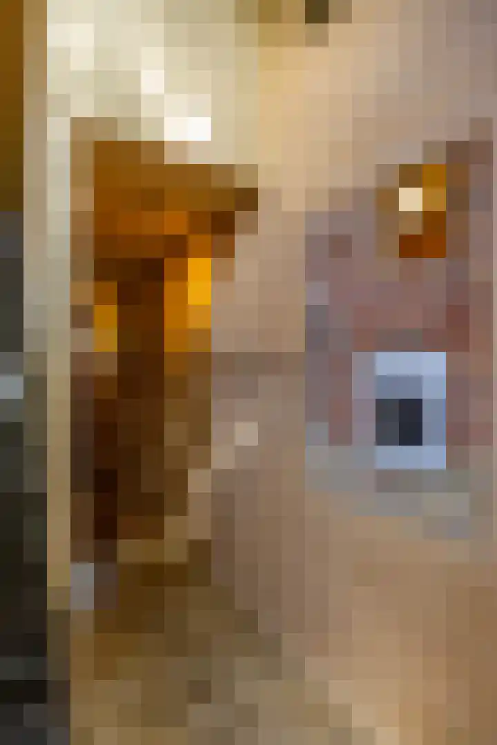 Kloosterstraat 9 Eext thumbnail 30