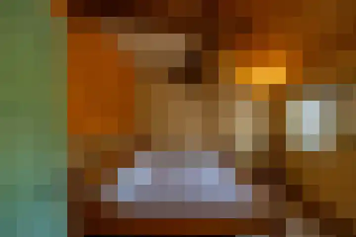 Kloosterstraat 9 Eext thumbnail 32