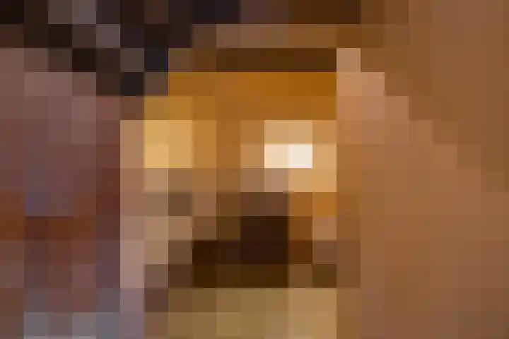 Kloosterstraat 9 Eext thumbnail 35