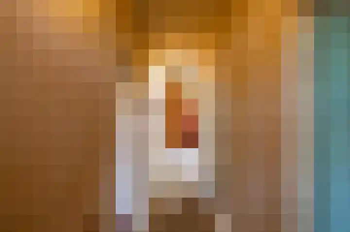 Kloosterstraat 9 Eext thumbnail 41