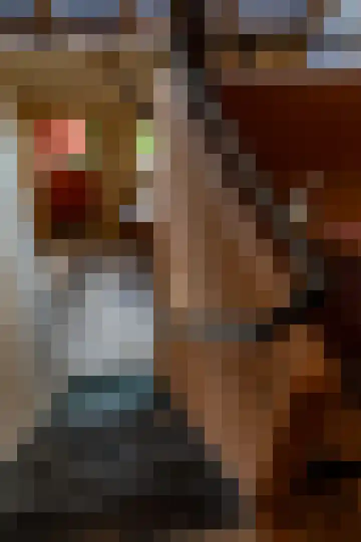 Kloosterstraat 9 Eext thumbnail 47
