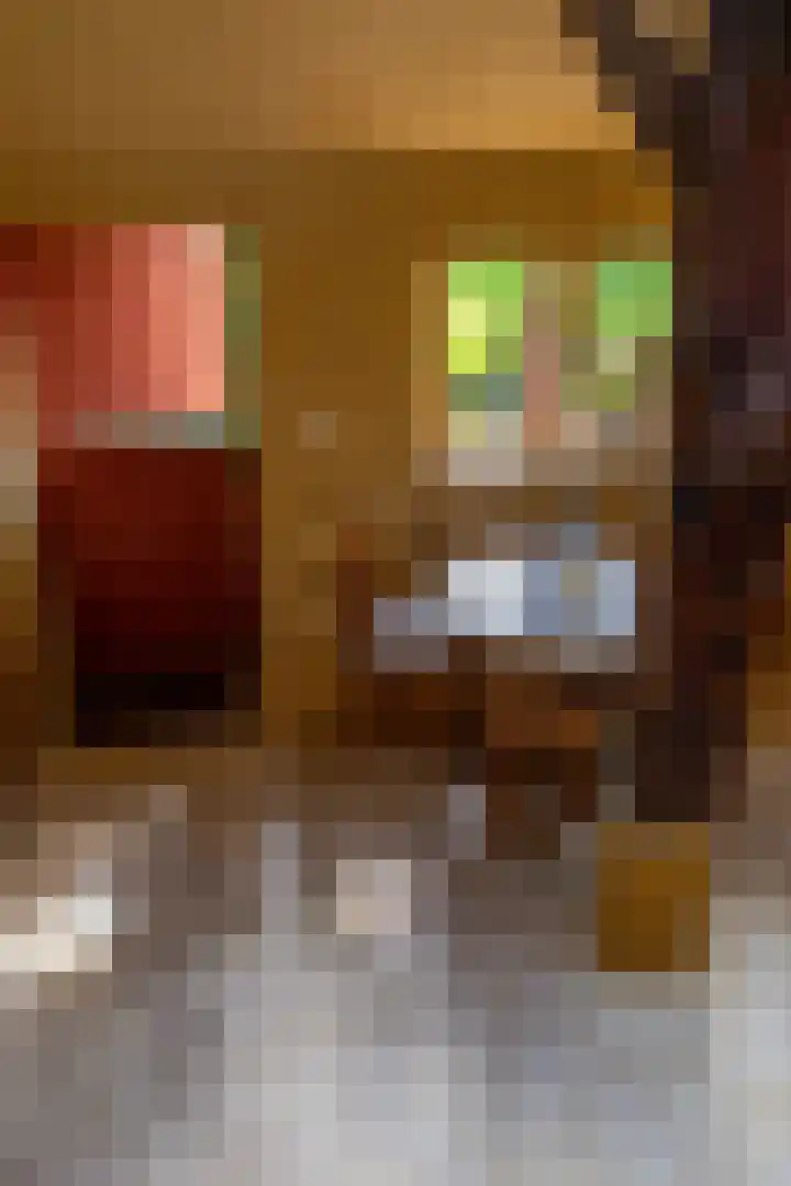 Kloosterstraat 9 Eext thumbnail 49