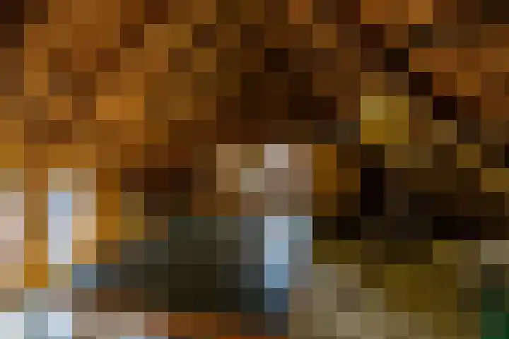 Kloosterstraat 9 Eext thumbnail 51