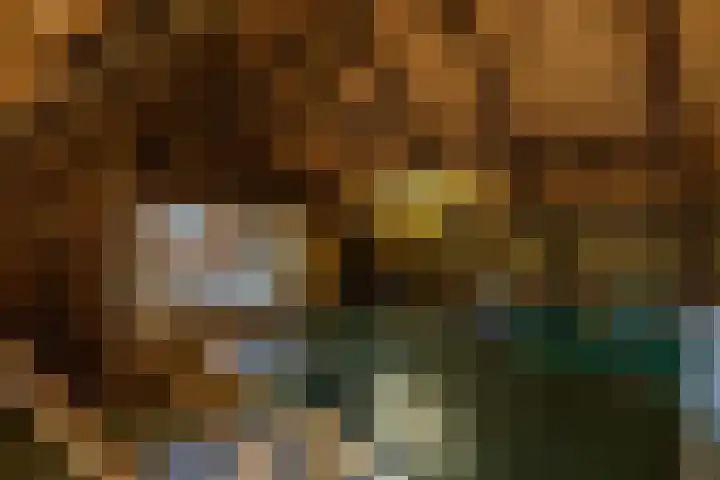 Kloosterstraat 9 Eext thumbnail 52