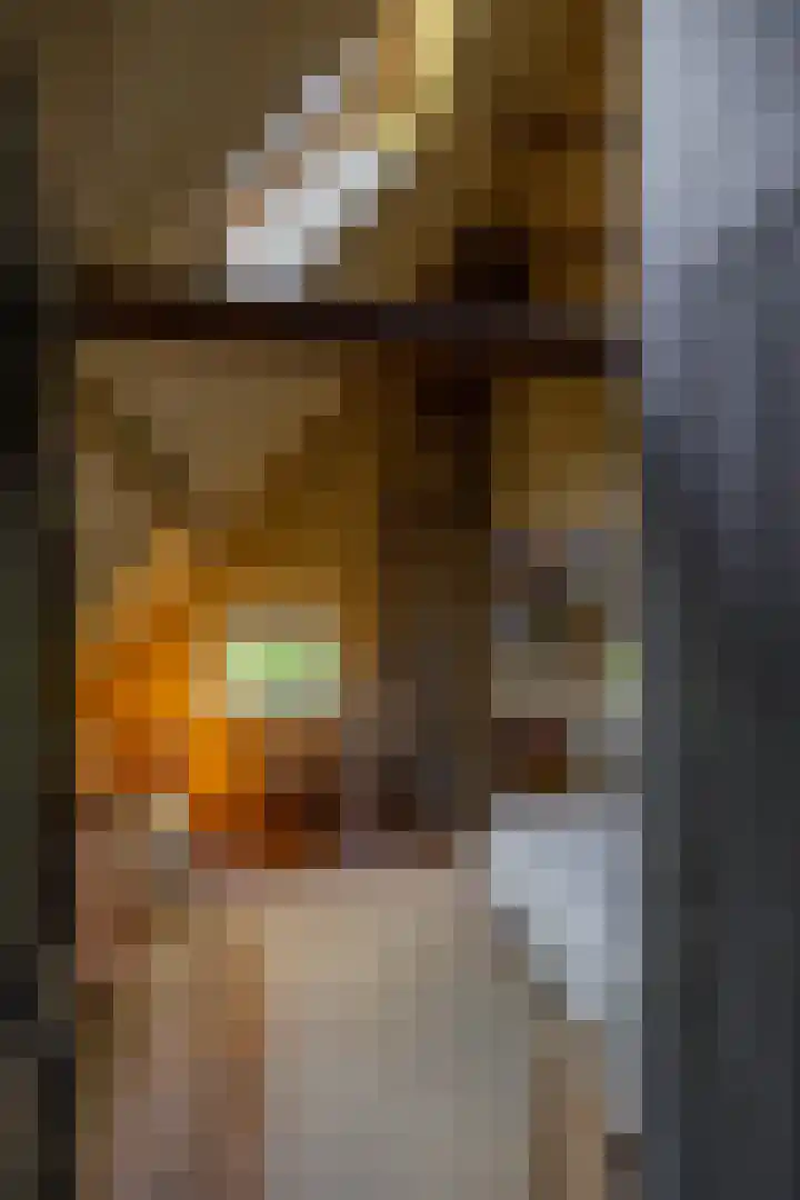Kloosterstraat 9 Eext thumbnail 54