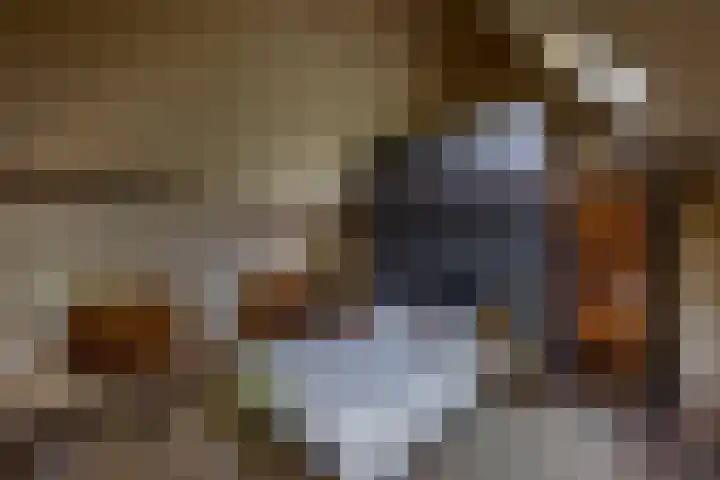 Kloosterstraat 9 Eext thumbnail 55