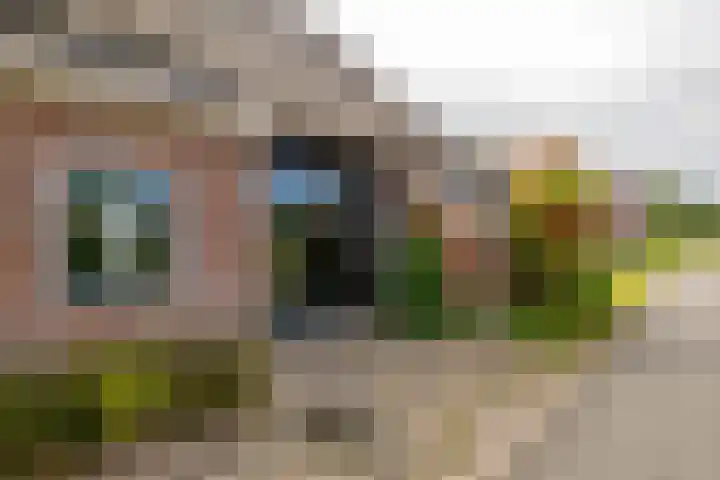 Kloosterstraat 9 Eext thumbnail 6