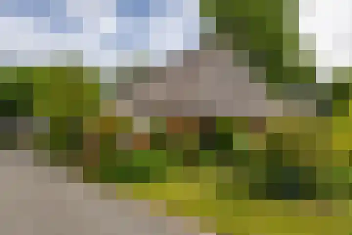 Kloosterstraat 9 Eext thumbnail 62