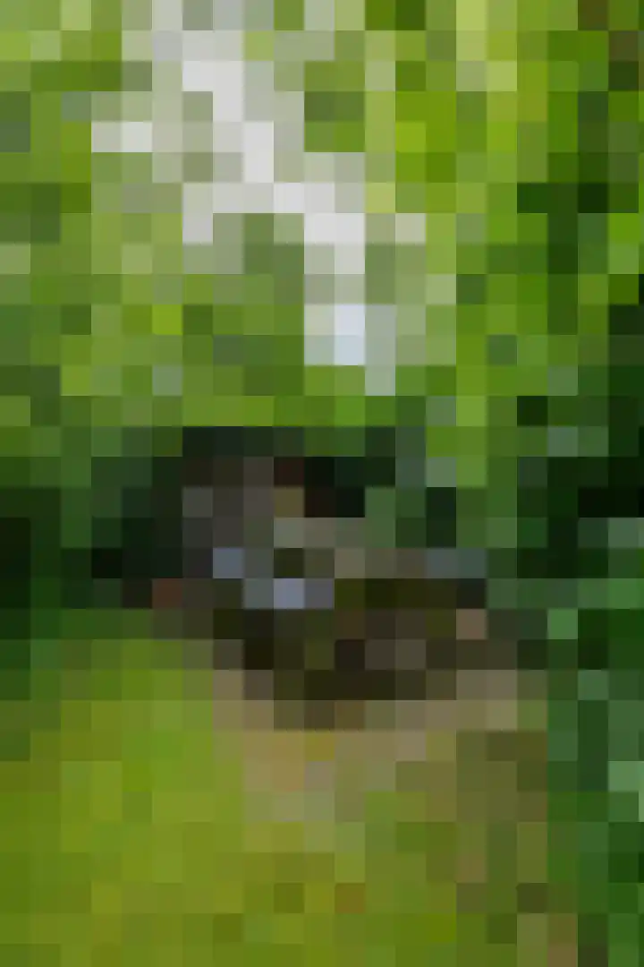 Kloosterstraat 9 Eext thumbnail 64
