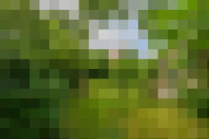 Kloosterstraat 9 Eext thumbnail 65