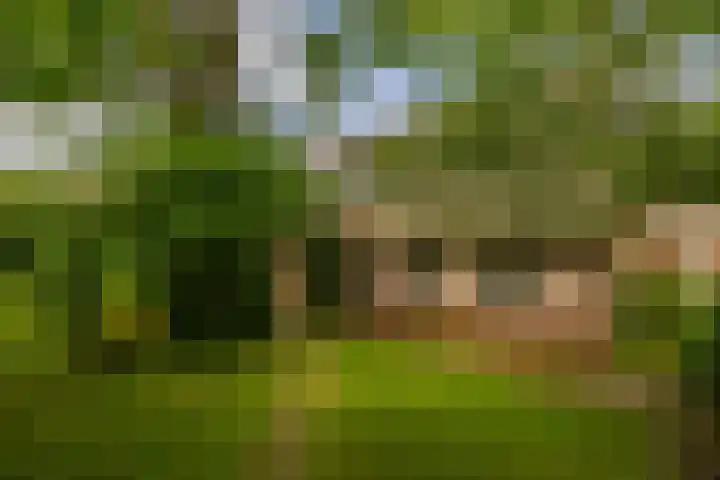 Kloosterstraat 9 Eext thumbnail 66