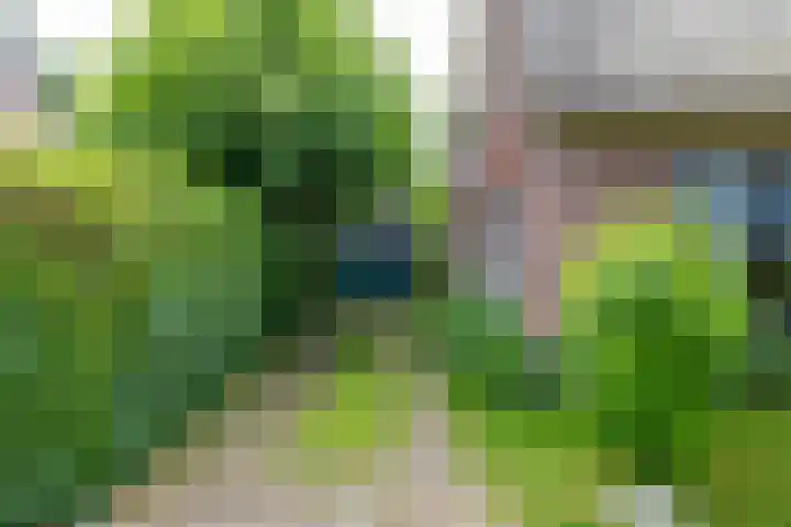 Kloosterstraat 9 Eext thumbnail 67