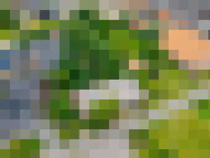 Kloosterstraat 9 Eext thumbnail 68