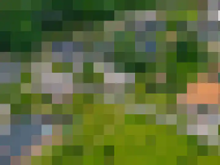 Kloosterstraat 9 Eext thumbnail 69