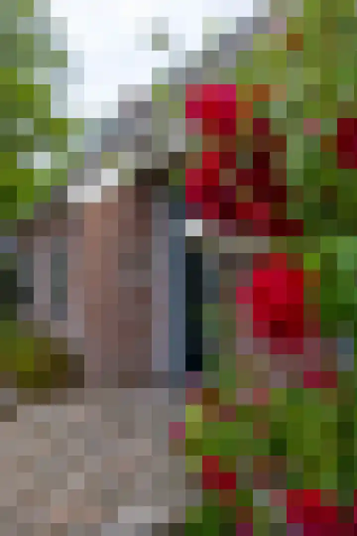 Kloosterstraat 9 Eext thumbnail 7