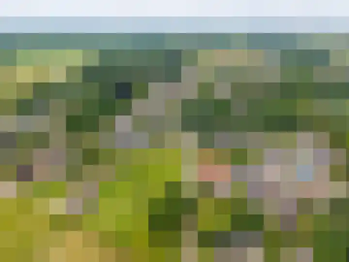 Kloosterstraat 9 Eext thumbnail 71
