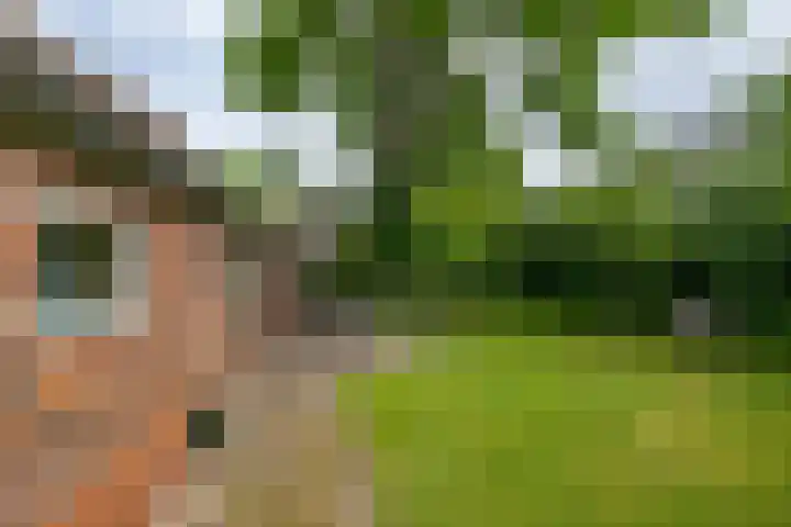 Kloosterstraat 9 Eext thumbnail 8