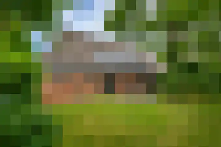 Kloosterstraat 9 Eext thumbnail 9