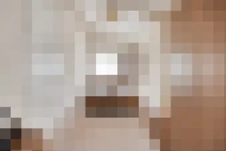 Kloosterstraat 9 Herkenbosch thumbnail 17