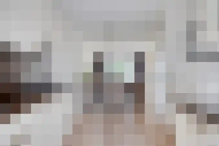 Kloosterstraat 9 Herkenbosch thumbnail 7