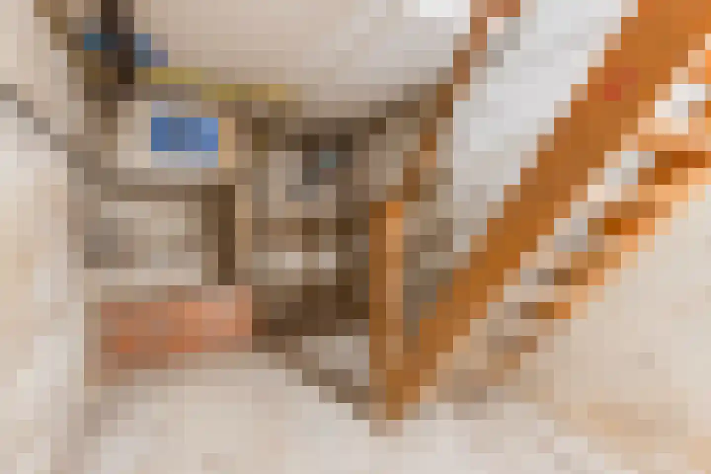 Kloosterstraat 9 Linne thumbnail 13