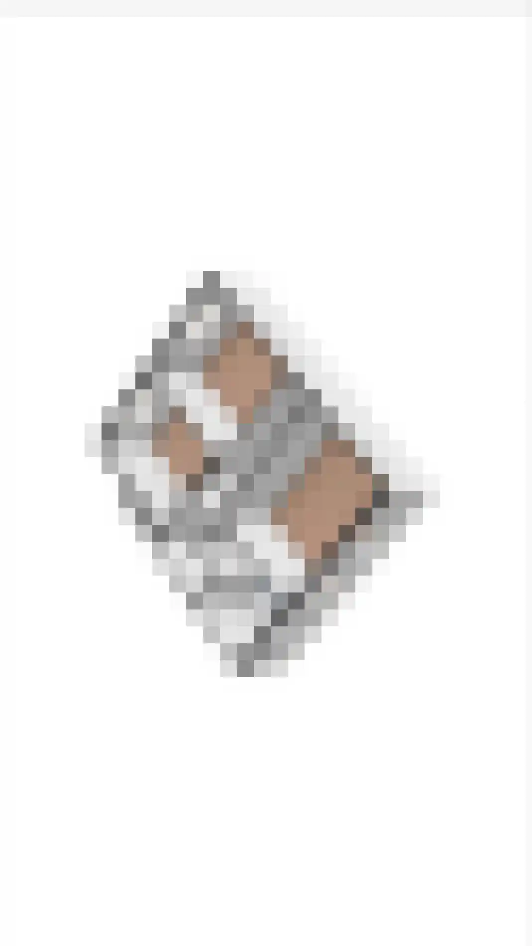 Kloosterstraat 9 Linne thumbnail 30