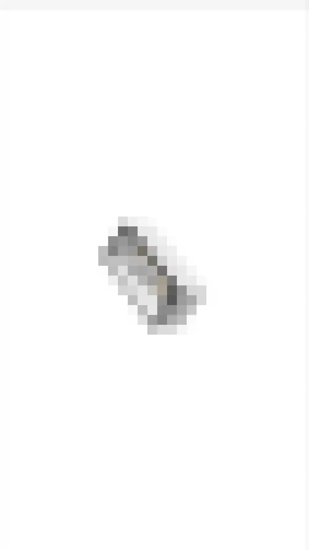 Kloosterstraat 9 Linne thumbnail 32