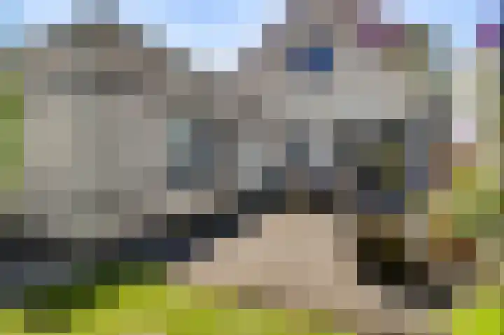Kloostertuin 2 Nederweert thumbnail 31