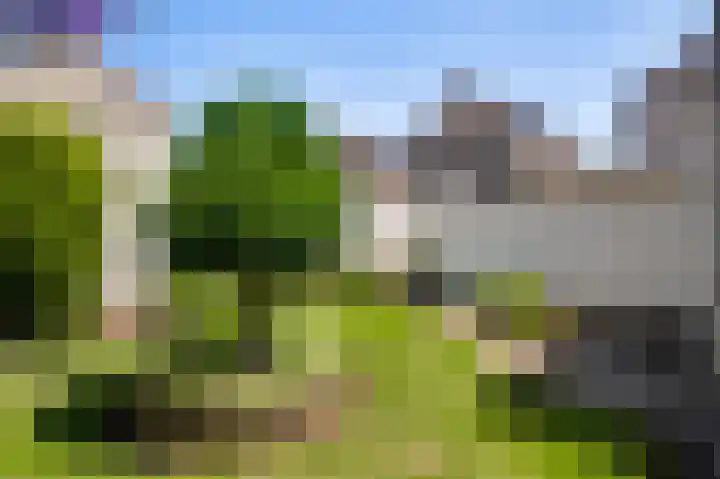 Kloostertuin 2 Nederweert thumbnail 32