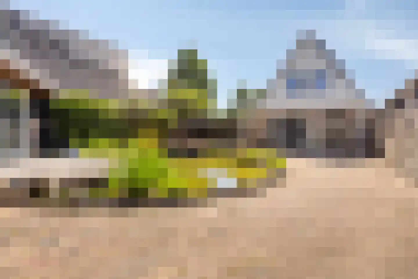 Kloostertuin 24 Winschoten thumbnail 46