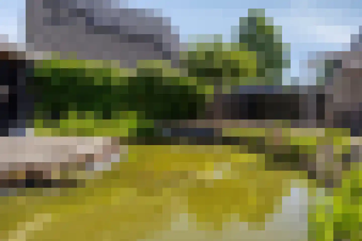 Kloostertuin 24 Winschoten thumbnail 48