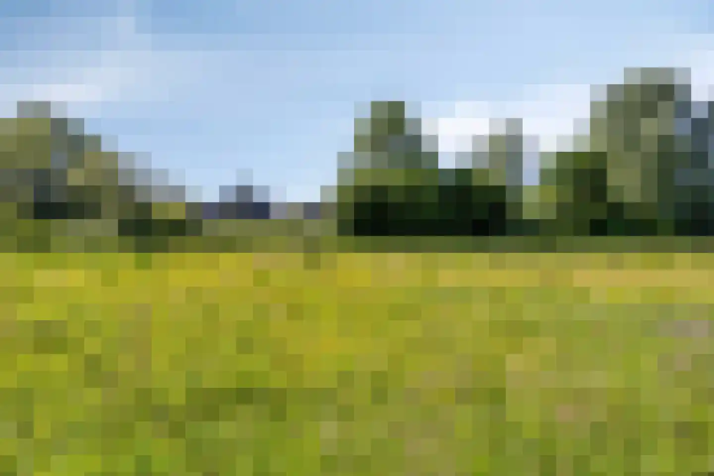 Kloostertuin 24 Winschoten thumbnail 56