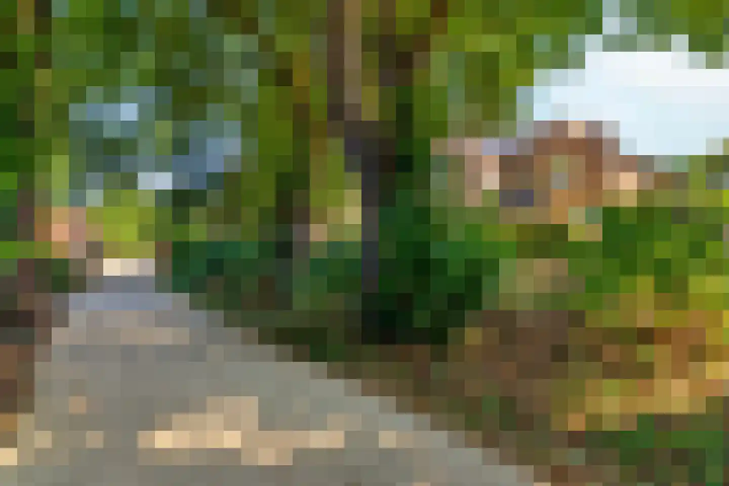 Kloostertuin 26 Molenhoek thumbnail 5