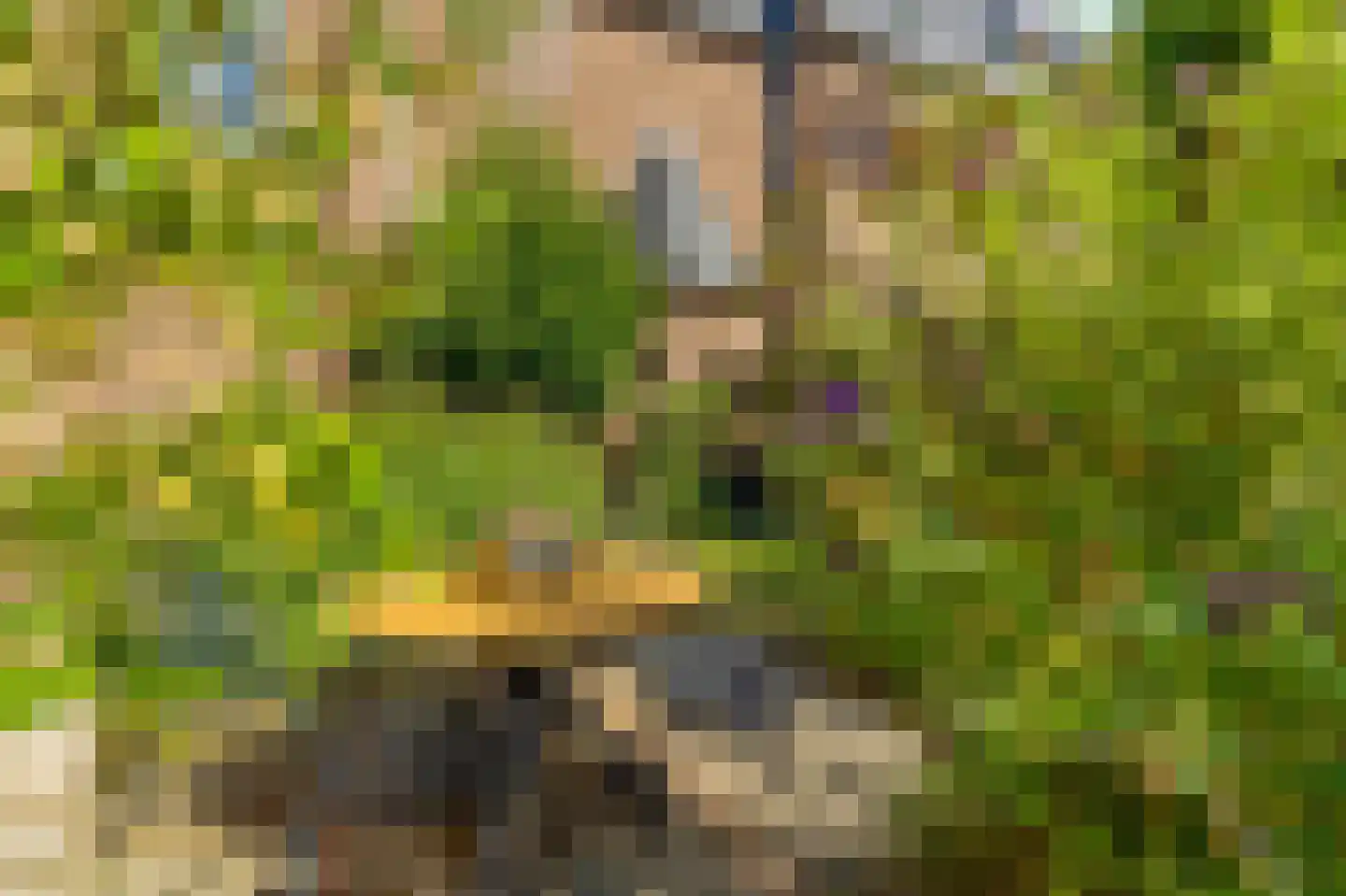 Kloostertuin 26 Molenhoek thumbnail 52