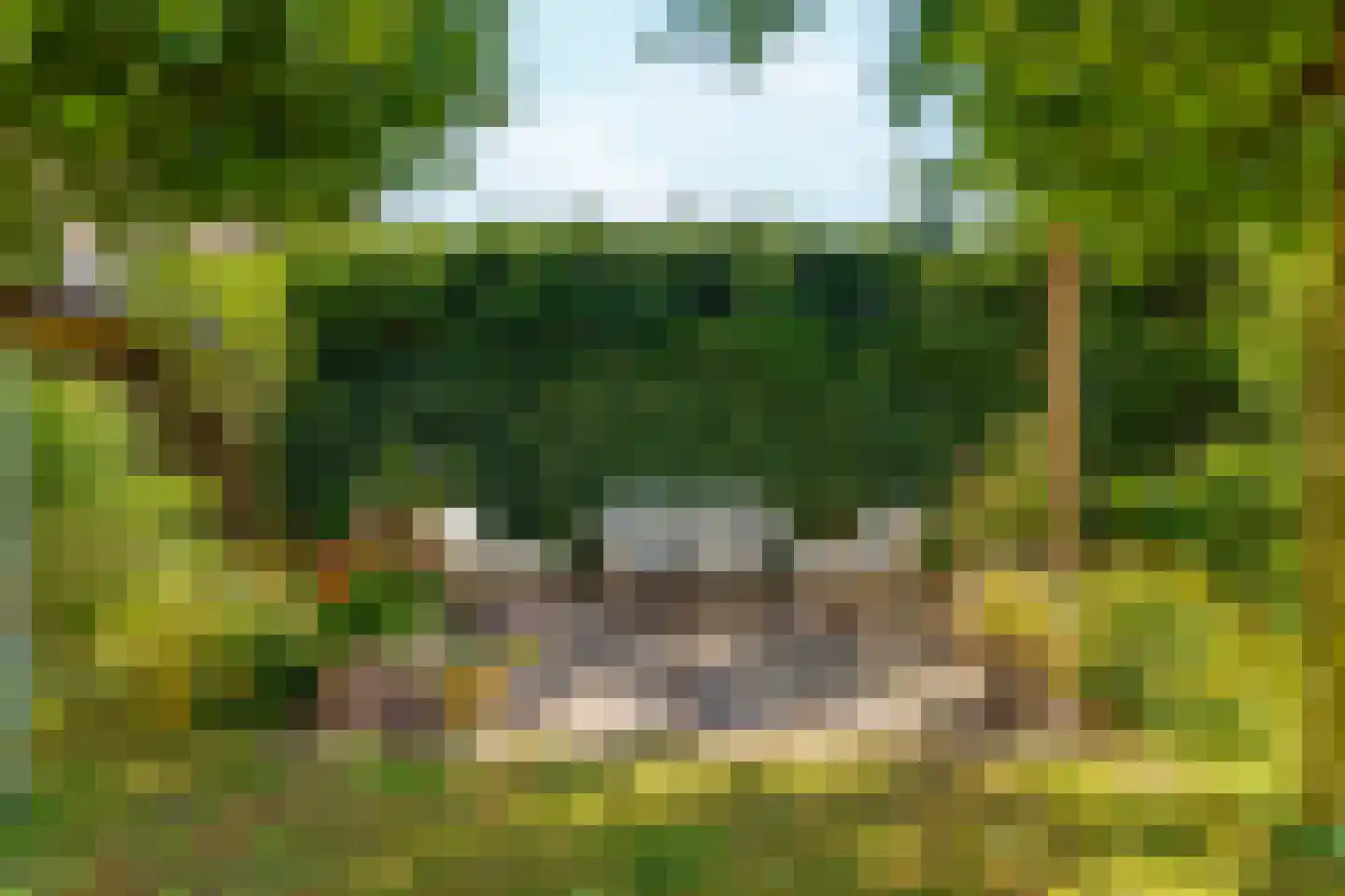 Kloostertuin 26 Molenhoek thumbnail 53