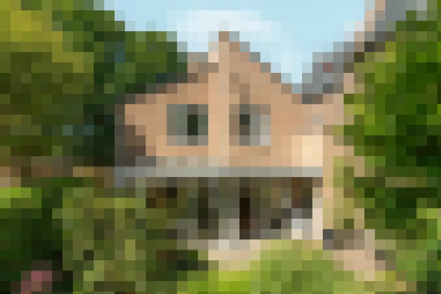 Kloostertuin 26 Molenhoek thumbnail 61