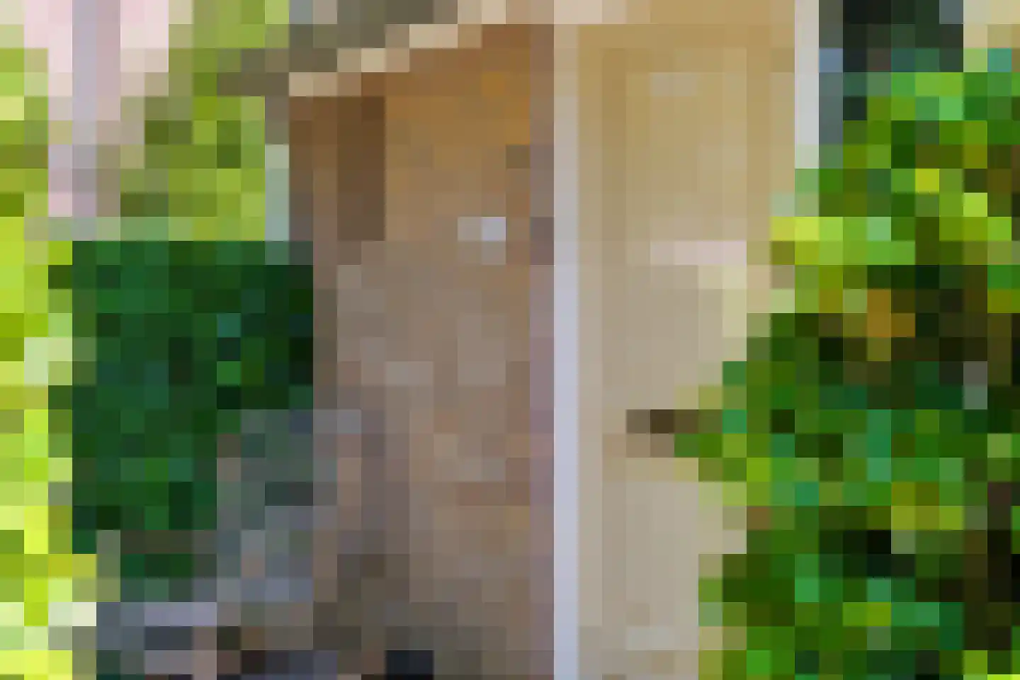 Kloostertuin 26 Molenhoek thumbnail 9