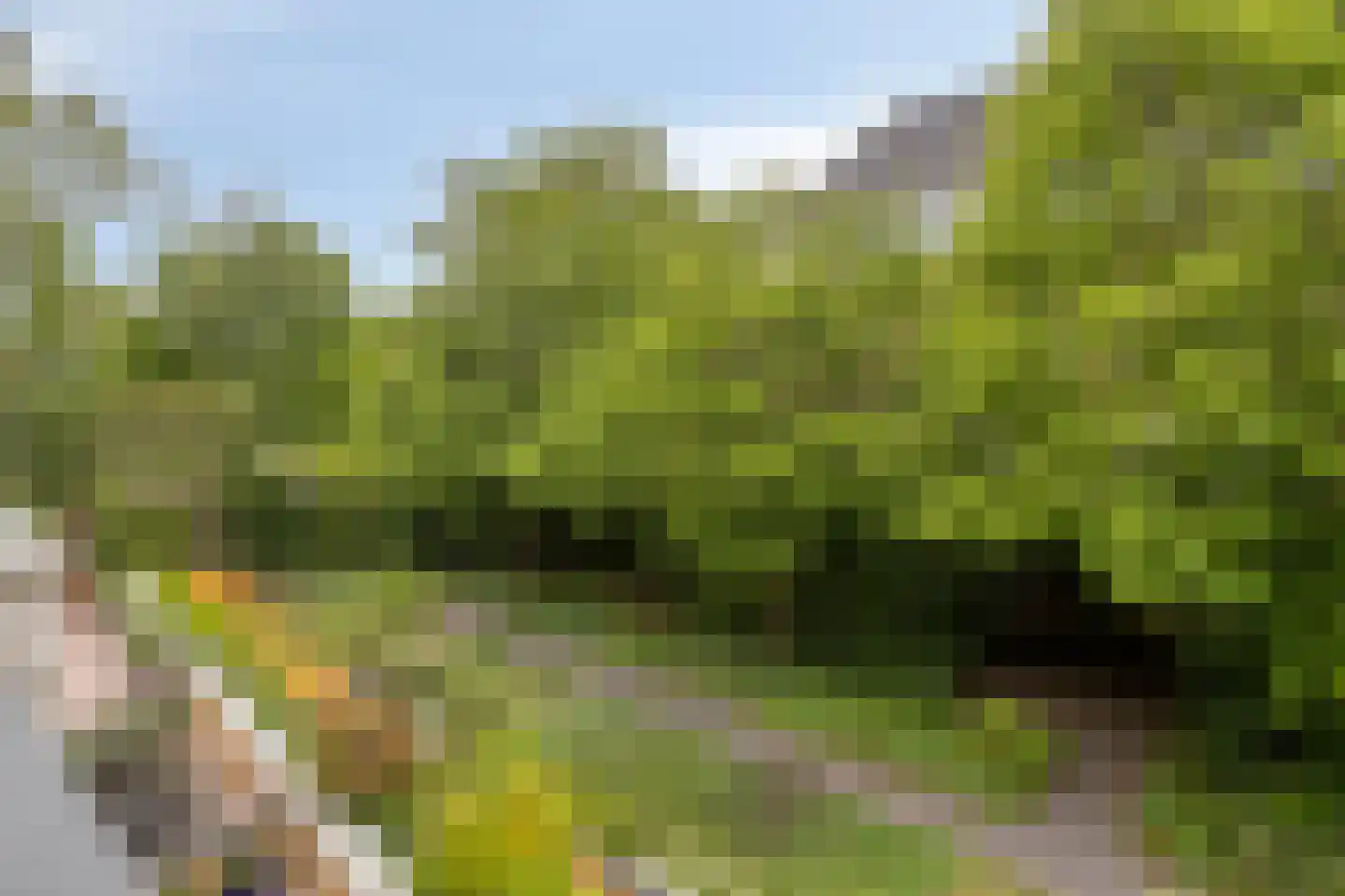 Kloostertuin 28 Bergen (NH) thumbnail 22