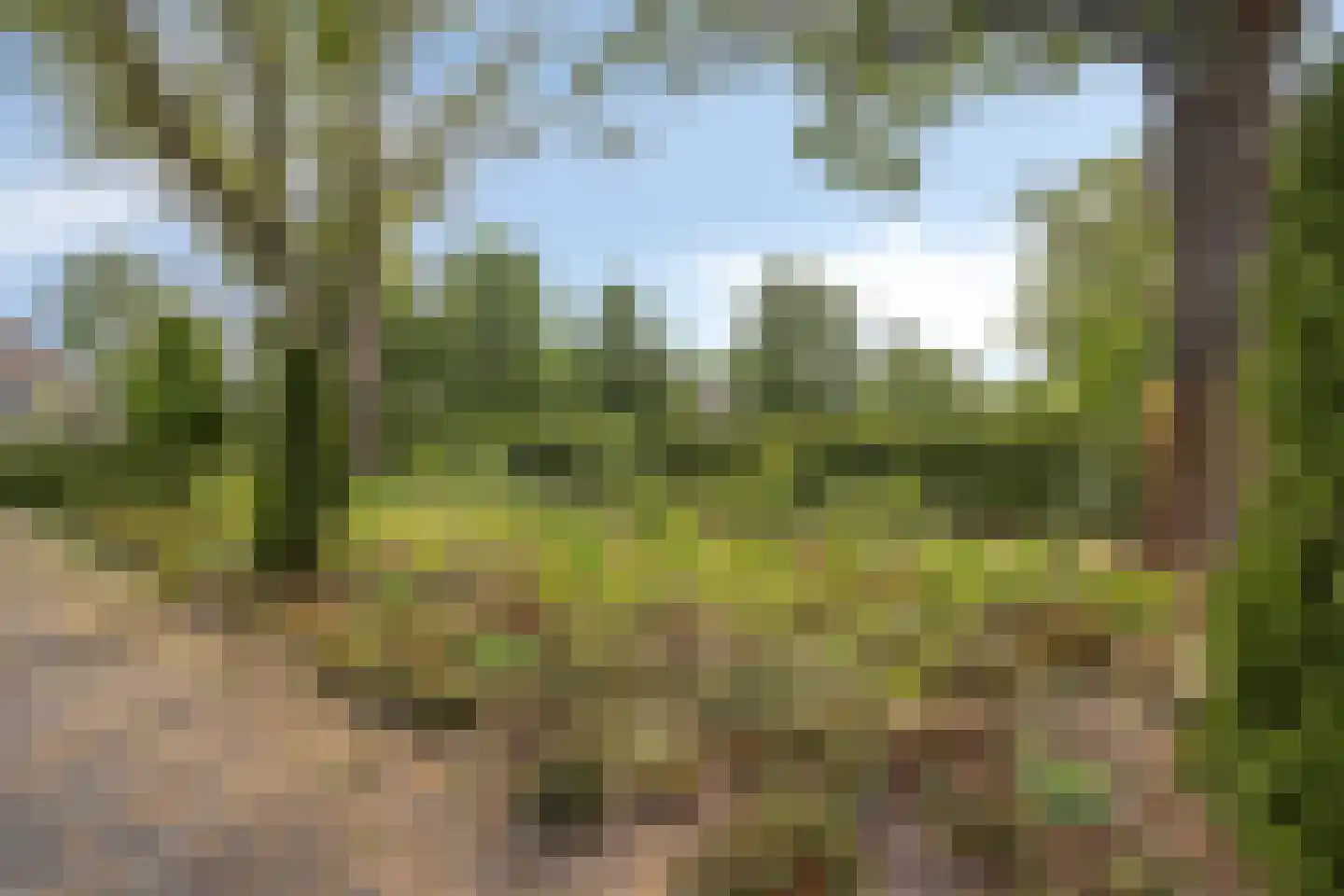 Kloostertuin 28 Bergen (NH) thumbnail 23