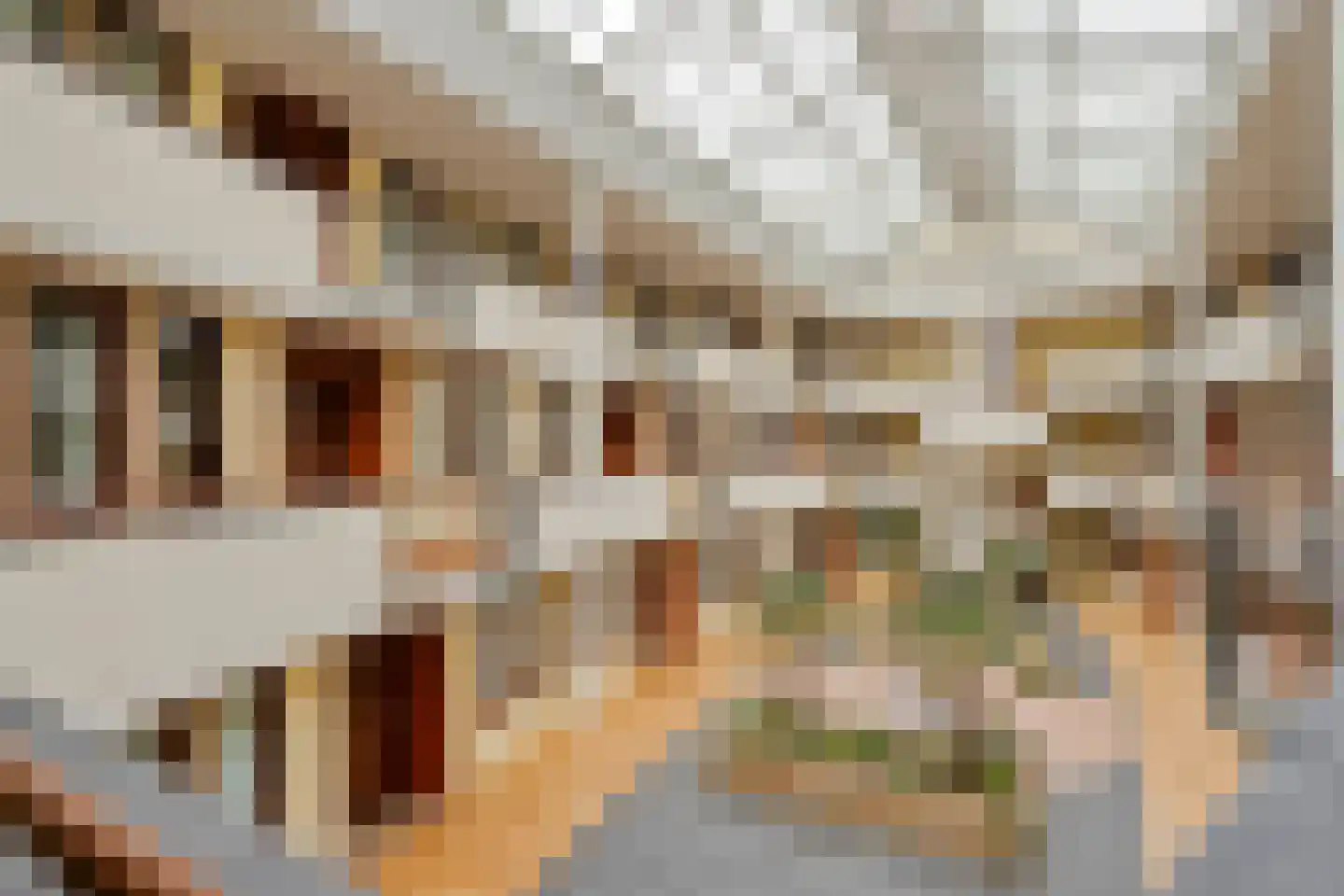 Kloostertuin 28 Bergen (NH) thumbnail 5