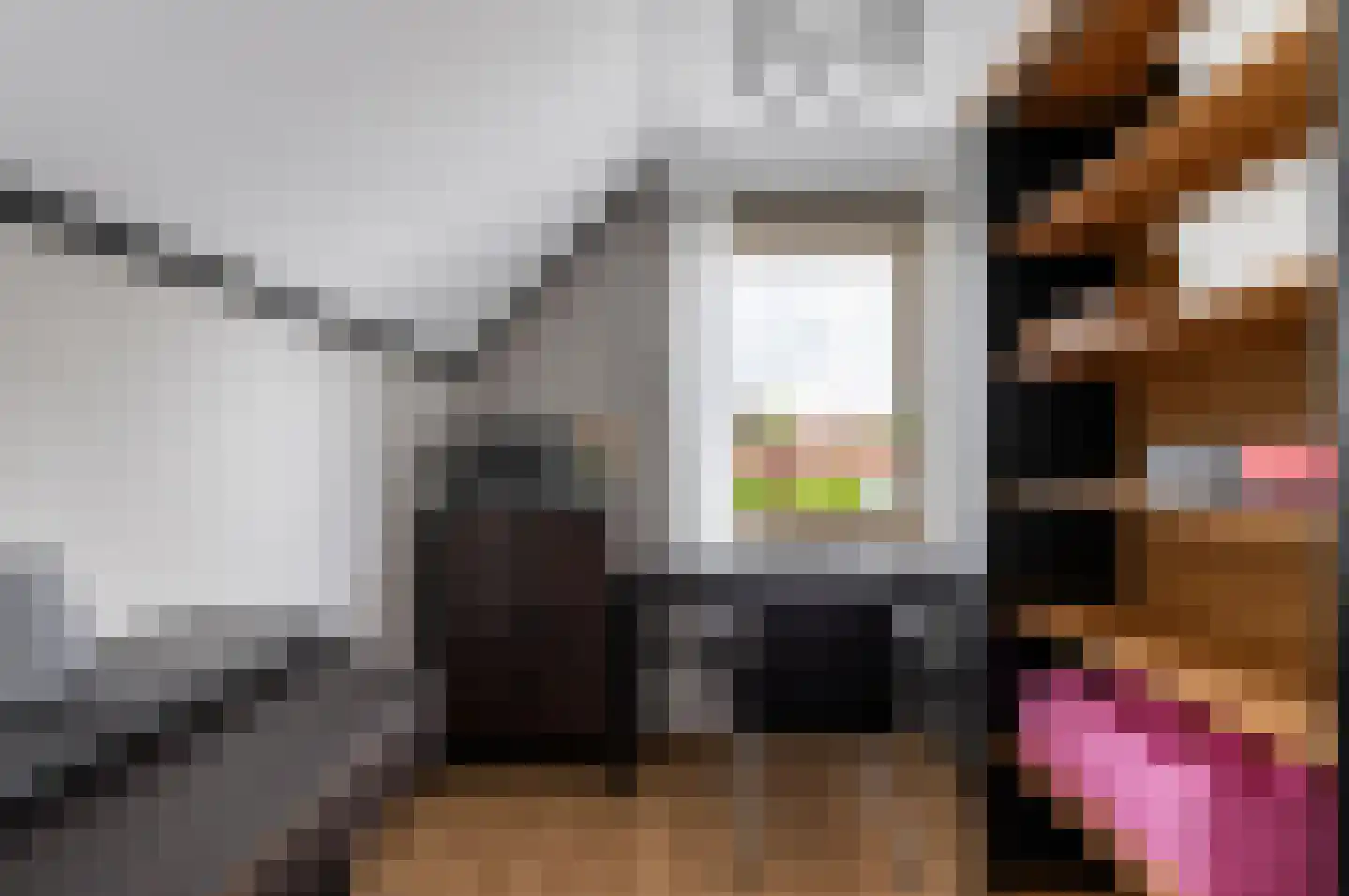 Kloostertuin 49 Beek en Donk thumbnail 27